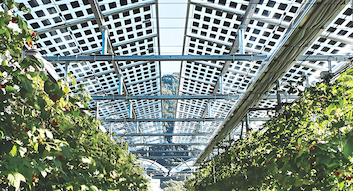 บล็อกบริษัทล่าสุดเกี่ยวกับ อิตาลีออกกฎระเบียบใหม่เกี่ยวกับการคัดเลือกสถานที่ตั้งโครงการพลังงานแสงอาทิตย์และมาตรการจูงใจทางภาษีสำหรับพลังงานแสงอาทิตย์